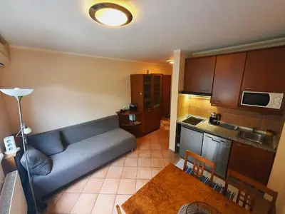 a living room with a couch and a kitchen at Aparthotel Rosa - apartma 204 in Podčetrtek