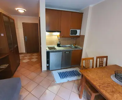 a kitchen with a table and a counter top at Aparthotel Rosa - apartma 204 in Podčetrtek