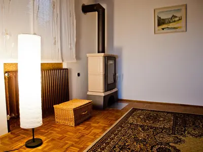 a living room with a wood stove in a room at Apartment Activity in Radomlje