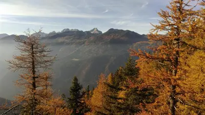 a view of a mountain with trees in the foreground at Apartment with mountain view and rivers close by in Šmartno ob Dreti
