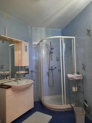 a bathroom with a shower and a sink at Rooms Čehovin in Postojna