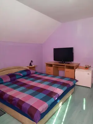 a bedroom with a bed and a flat screen tv at Rooms Čehovin in Postojna