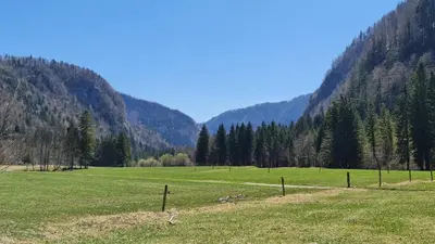 a field of grass with mountains in the background at Radovna Mountain Valley Cottage in Zgornje Gorje