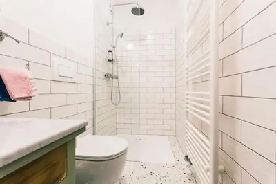 a white bathroom with a toilet and a shower at BELAKAPA Authentic house with garden and free parking in Ilirska Bistrica