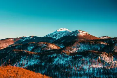 a mountain covered in trees with a snow covered peak at BELAKAPA Authentic house with garden and free parking in Ilirska Bistrica