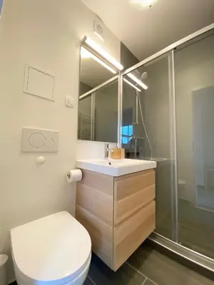 a bathroom with a toilet and a sink and a shower at Apartment 3 Sovice in Bovec