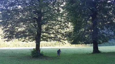 a person standing between two trees in a field at Guesthouse S in Luče