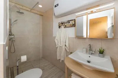 a bathroom with a sink and a shower at Captain's Lodge in Bohinj