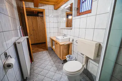a bathroom with a toilet and a sink at Vineyard Cottage Maleric with Pool Access in Dragatuš