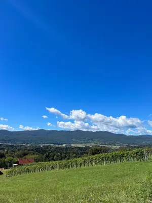 a field of green grass with a blue sky and mountains at Vineyard Cottage Maleric with Pool Access in Dragatuš