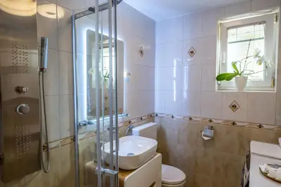 a bathroom with a shower and a toilet and a sink at Relax & Beautiful View in Slovenj Gradec