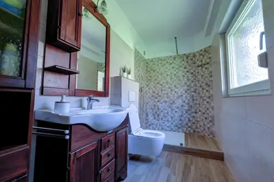 a bathroom with a sink and a toilet at Apartma Hči planin in Bovec