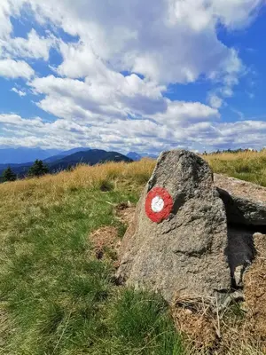 a rock with a red circle on it in a field at Apartma Knap Velenje in Velenje