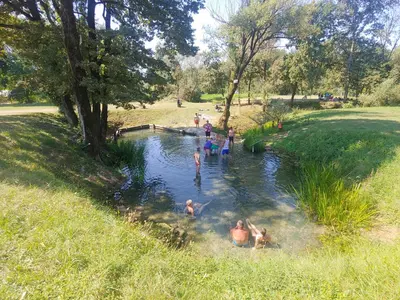 a group of people swimming in a pond in a park at Holiday Home Toplica Natura with natural thermal Bath in Cerklje ob Krki