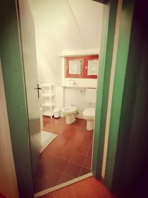 a bathroom with a toilet and a sink at počitniška hiška MEDVEJKE in Slappe dʼIdria