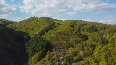 an aerial view of a forested mountain with a road at Hiška pod Rudnico 2 in Podčetrtek