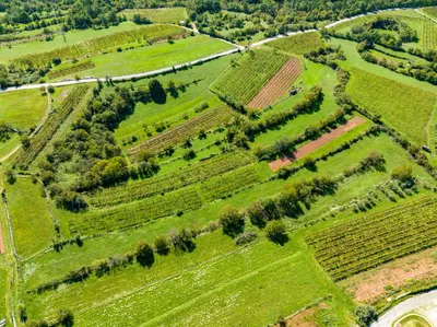 an aerial view of a field of crops at Karst house Žan Pliskovica with private pool in Dutovlje