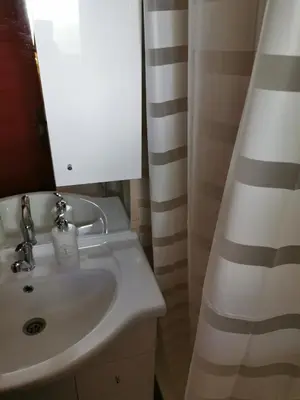 a bathroom with a white sink and a mirror at KOZJANSKA KOČA in Podčetrtek