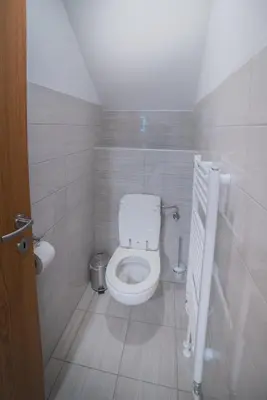 a bathroom with a white toilet in a room at Apartma Lida 2 in Bled