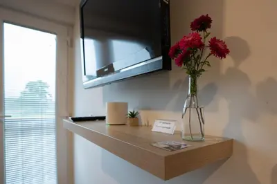 a vase with red flowers on a shelf in a room at Apartma Lida 2 in Bled
