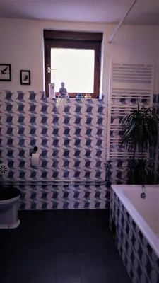 a blue and white bathroom with a tub and a window at Retro in Tolmin