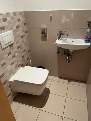 a bathroom with a toilet and a sink at Golden Fox Apartment Pohorje in Maribor
