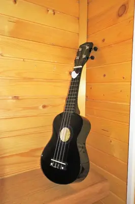 a black guitar is hanging on a wall at ARIA in Sviščaki