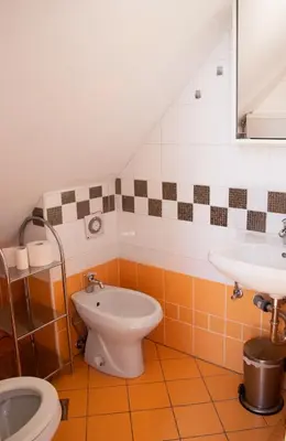 a bathroom with a toilet and a sink at Apartma Sonček, on the ski slopes, balcony, private parking in Kranjska Gora