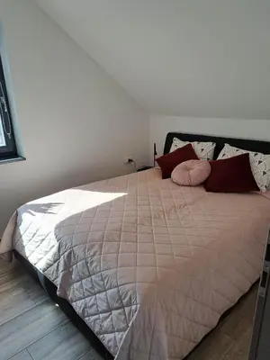 a bedroom with a large bed with red pillows at Apartmaji Tisa in Žana in Rovte