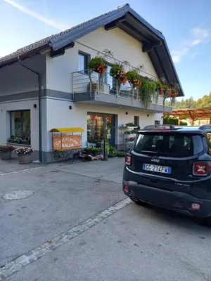 a car parked in a parking lot in front of a building at Apartmaji Tisa in Žana in Rovte