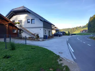 a house on the side of a road at Apartmaji Tisa in Žana in Rovte