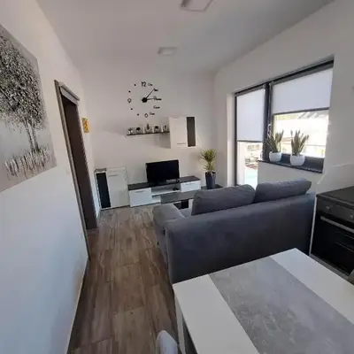 Apartmaji Tisa in Žana