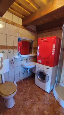 a bathroom with a washing machine and a sink at Apartman Vesna in Veliki Vrh