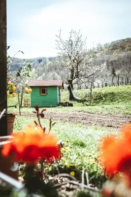 a small green house in a field with flowers at Apartma Moser in Podnanos