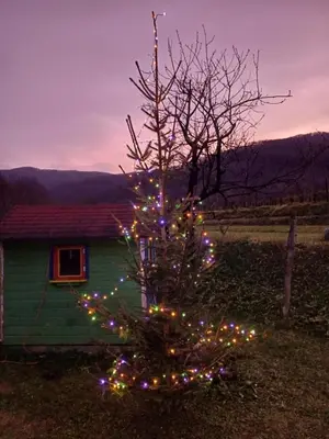 a christmas tree in front of a green house at Apartma Moser in Podnanos