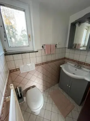 a bathroom with a toilet and a sink at Holiday Home Ribno - Bled in Bled