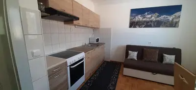 a kitchen with a stove and a couch in a room at Apartma Dana-Brinjtesa in Jesenice