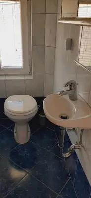 a bathroom with a toilet and a sink at Apartma Dana-Brinjtesa in Jesenice
