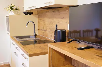 a kitchen with a counter top with a sink and a counter top at Metropolitana's Zois Apartments in Bohinj