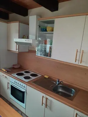 a kitchen with a stove and a sink at Pocitniska hisa na Pohorju in Pohorje