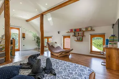 a living room with a couch and a chair at Holiday home in Trebnje Kranjska Krain 42897 in Trebnje