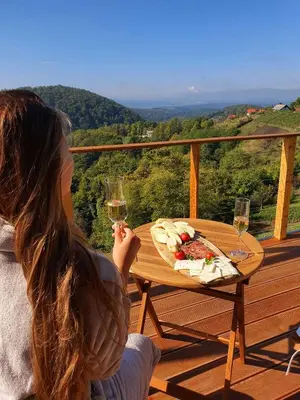 a woman sitting at a table with a glass of wine at Holiday home in Mirna Kranjska Krain 42906 in Mirna