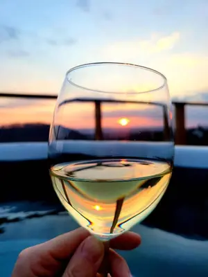 a person holding a glass of wine with the sunset in the background at Holiday home in Mirna Kranjska Krain 42906 in Mirna