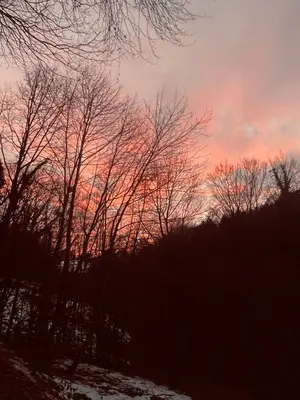 a sunset with trees in the foreground at Spacious nest between Maribor and Celje NiceHead in Loče pri Poljčanah
