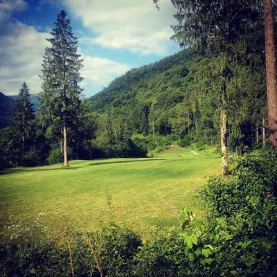 a large green field with trees and a mountain at Apartma Bovec Center in Bovec