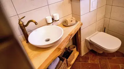 a bathroom with a sink and a toilet at Holiday home in Otocec Kranjska Krain 42903 in Otočec