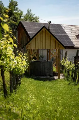 a barn with a roof with solar panels on it at Holiday home in Otocec Kranjska Krain 42907 in Otočec