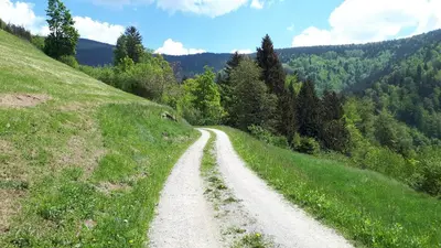 a dirt road in the middle of a grassy hill at Country House & Spa in Mislinja