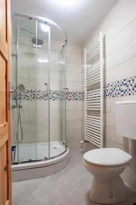 a bathroom with a shower and a toilet at Country House & Spa in Mislinja