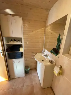 a small bathroom with a sink and a toilet at Mountain View Cottage in Kamnik